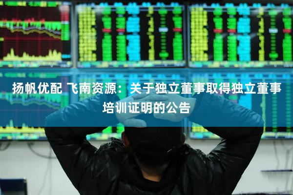 扬帆优配 飞南资源：关于独立董事取得独立董事培训证明的公告