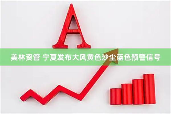 美林资管 宁夏发布大风黄色沙尘蓝色预警信号