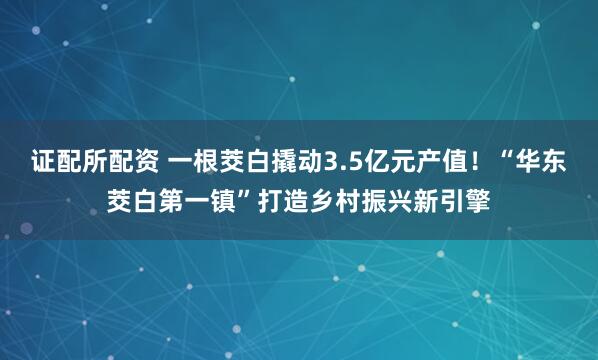 证配所配资 一根茭白撬动3.5亿元产值！“华东茭白第一镇”打造乡村振兴新引擎