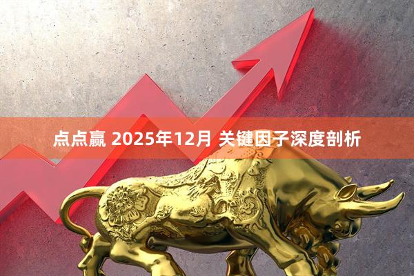 点点赢 2025年12月 关键因子深度剖析